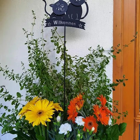 Hotel Zell Am 3*