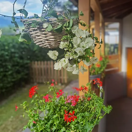 Zell Am زيل أم سي