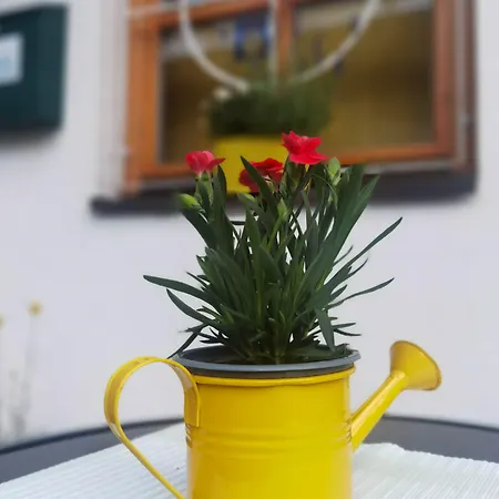 Ξενοδοχείο Zell Am