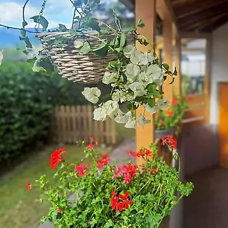 Zell Am 호텔 3*