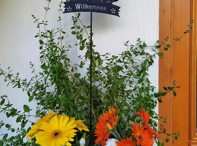 Ξενοδοχείο Zell Am 3*